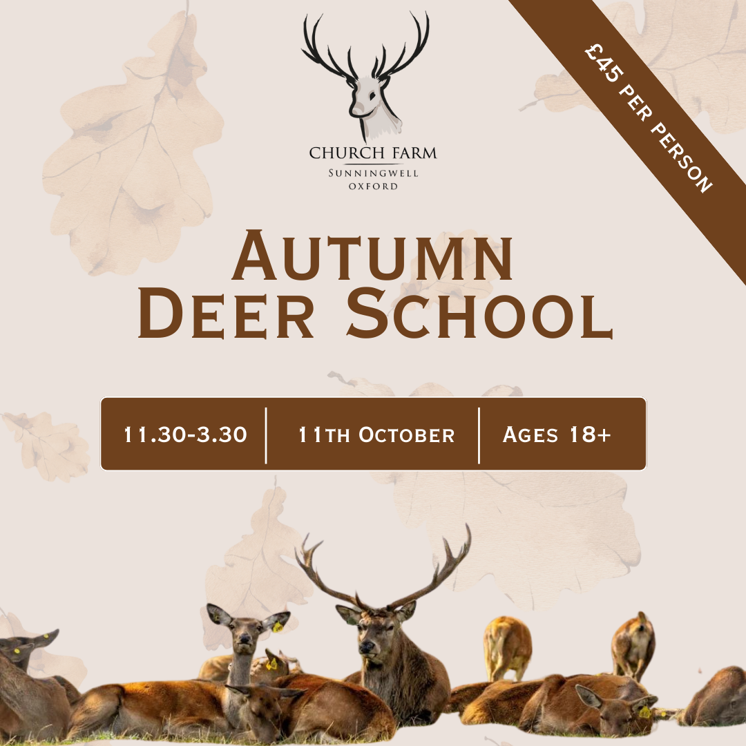 Autumn Deer School -  11th October
