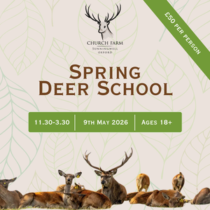 Spring Deer School for adults -  9th May 2026 (Available as Gift Voucher)
